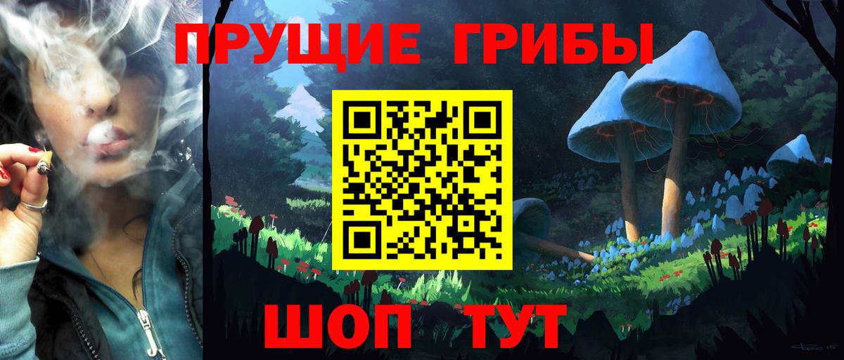 Псилоцибиновые грибы Psilocybine cubensis Семёнов