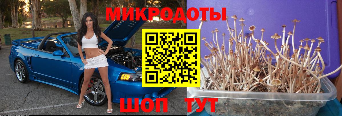 Галлюциногенные грибы прущие грибы  Галлюциногенные грибы ЛСД  Семёнов  Вход с VPN 